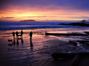 10 reasons why the off-season is the best time to go to Tofino