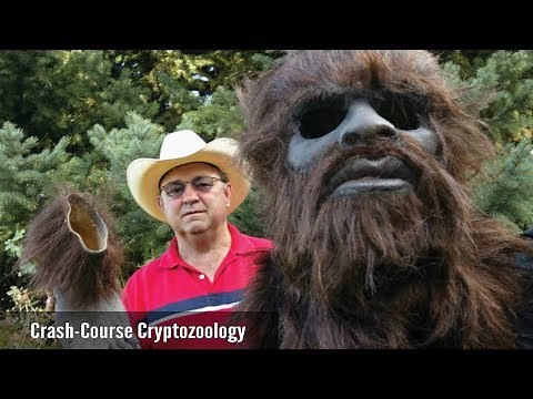 The Hieronimus Testimony