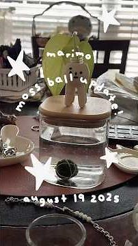 Marimo Moss Ball is Falling Apart! #marimomossball #plants #aquaticlife Tiffany Weng