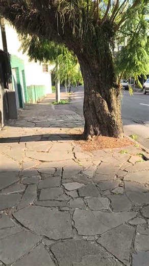 Serra Gaúcha