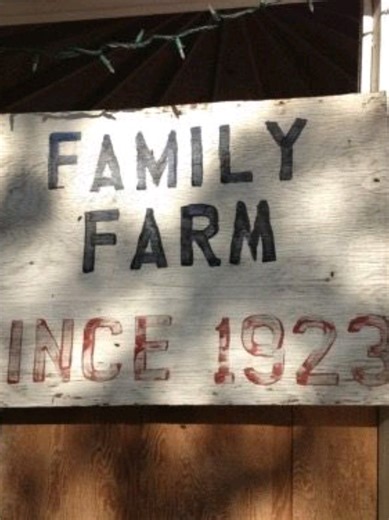 𝑀𝒾𝓀𝑒 𝐻𝒶𝓃𝓁𝑜𝓃 𝒽𝒶𝓈 𝓅𝑜𝓈𝓉𝑒𝒹 . . . 𓂀