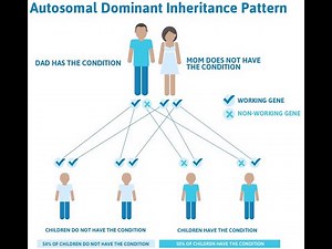 Understanding the Concept of Autosomal Dominant Disorders