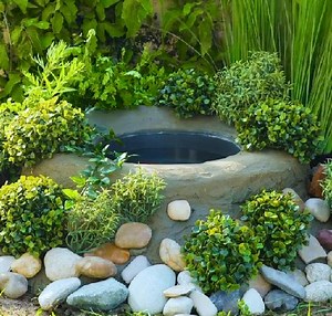 289K views · 541 reactions | Easiest DIY pond ideas you can easily repeat! | 5-Minute Crafts | Facebook