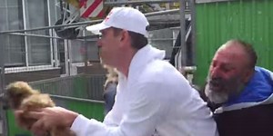 Stolen Puppy Happily Reunited With Heartbroken Homeless Man