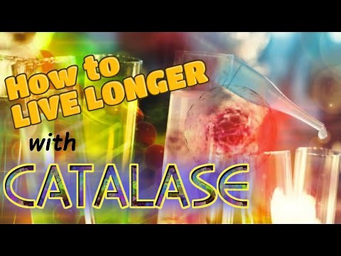 How to LIVE LONGER with Catalase!