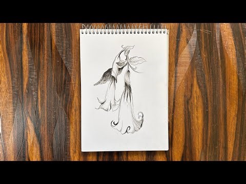 How to draw a new flower | Angel’s Trumpet flower illustration #flower #drawing