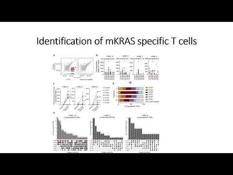 mKRAS specific T cells in extended vaccination on PDAC patients #Code: 1116