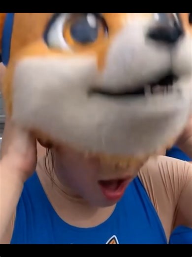 Mascot Girl Reveal Accident: A Closer Look