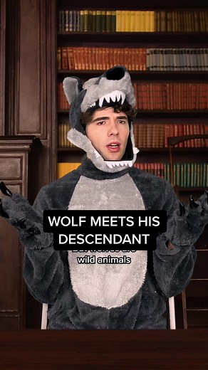 Wolf Meets His Descendant: Ancestry Evolution Video