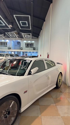 شركة عادل عثمان محمدامين على TikTok