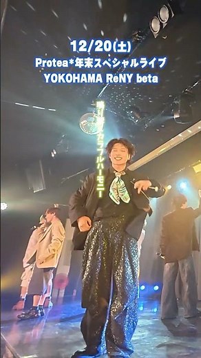 Protea* 『Shining Star』