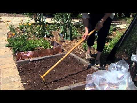 IPM: Smothering and Solarization