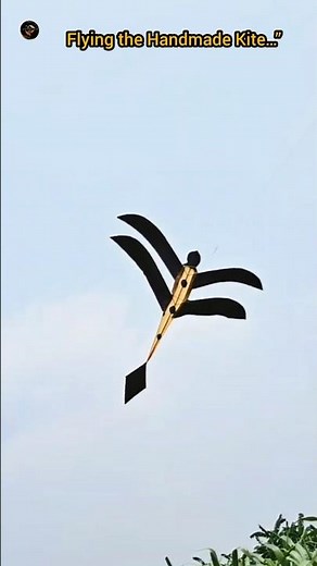 “Insane Grasshopper Kite Flying Test 🪁🔥 (Handmade Kite Part 3)”