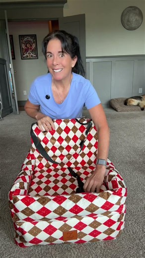 Dog car seat with a 6 inch boost for better views and less anxiety