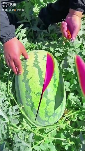 how to cut a watermelon watermelon #hack watermelon slicing #watermelon#watermelon#youtubeshorts