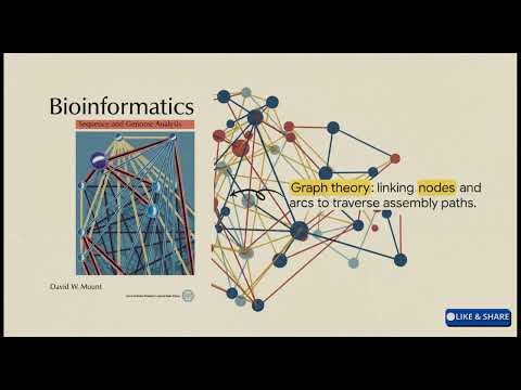 Genome Assembly Explained | Building a Genome from Fragments