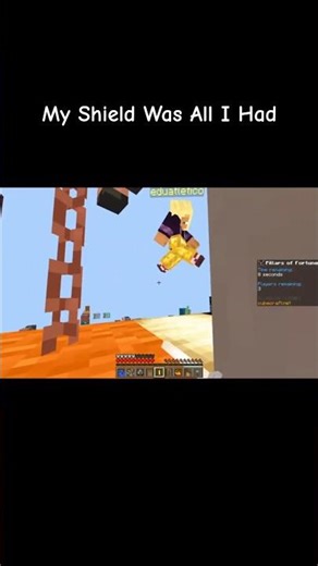 I Use a Shield… Then Punch a Player and Two Mobs Off