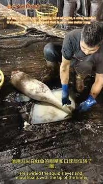 夜晚上的鱿钓船甲板上，一位船员正在宰杀一条1米多长的大鱿鱼。