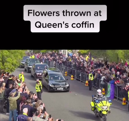 #princessdiana #queenelizabeth2 #queen #amywinhouse #princessofwales #dianaspencer #funeral #flowers #funeral #katemiddleton #princewilliam #princeharry