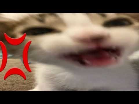 PGS3 Final TWIS xmpl