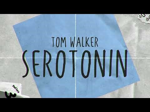 Tom Walker - Serotonin Acoustic (Lyric Video)