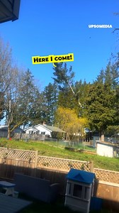 They needed to trim the tree a bit. But the tree had other plans. | Positive