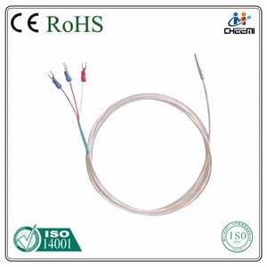 [Hot Item] Temperature Sensor PT500 Rtd Probe with Connecting Cable 2 Wire