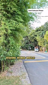 I Have You With Lyrics Ctto Song by: Carpenters Cover by: Aera 🌸🌺🌸🌺🌸🌺🌸🌺🌸🌺🌸🌺🌸🌺🌸🌺 📣No Copyright Infringement Intended♡ I Do Not Own The Music In This Video. All Rights belong to the owner|music writer|composer. #oldsongs #lovesong #lyricsvideo #kualalumpur #song #coverversion | Liezel Quibuyen Dimaya