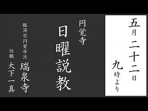 【日曜説教：令和4年5月】円覚寺派 瑞泉寺住職 大下一真師