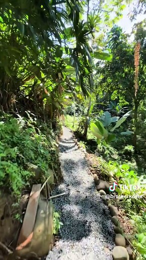 Discover Our Costa Rica Farm for Sale