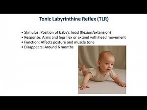 Primitive Reflexes in Infants | Easy to Remember