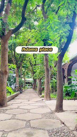 Exploring Adama: Attractions and Culture