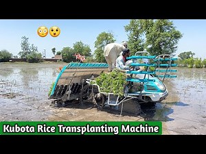 Kubota Rice Transplanting Machine Complete Information & Working