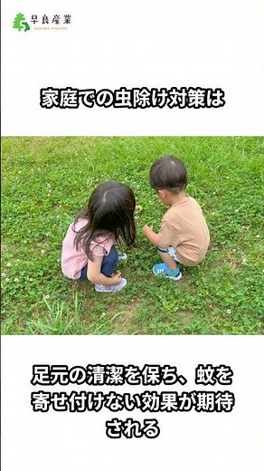 幼稚園の虫除け対策とは？家庭でできる安全な予防法