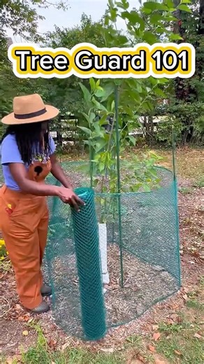 Protecting Fruit Trees