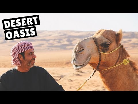 RIDING CAMELS IN THE OMAN DESERT!
