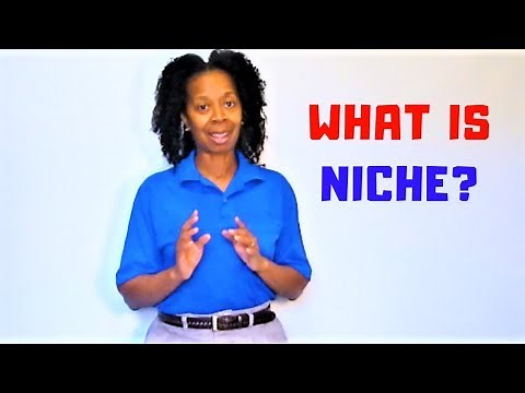 Niche Definition | What is niche?