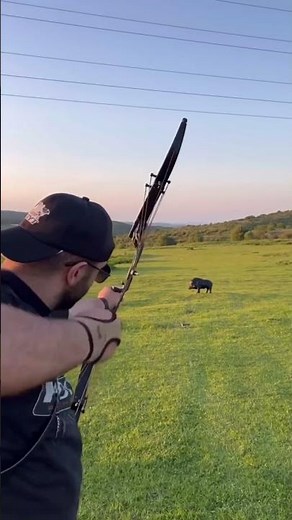 Do you like this versatile lever bow? #archery #outdoors #hunting #deer #bowhunting #fyp #tools