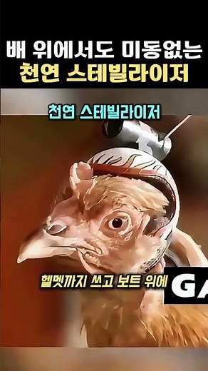 흔들리는 배 위에서도 미동 없는 천연 스테빌라이저