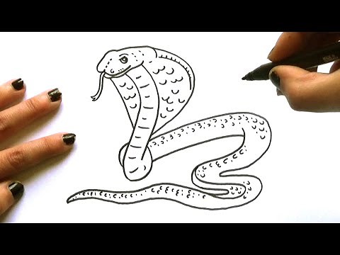 Cómo dibujar una Cobra - Dibujo de una Cobra paso a paso