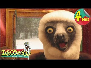 4 Hours of Zoboomafoo! | Snowday | Full Episodes for Kids