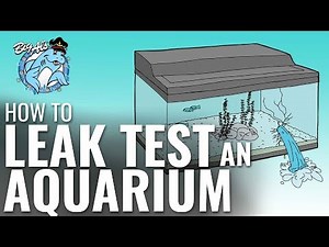 How To Leak Test an Aquarium | BigAlsPets.com