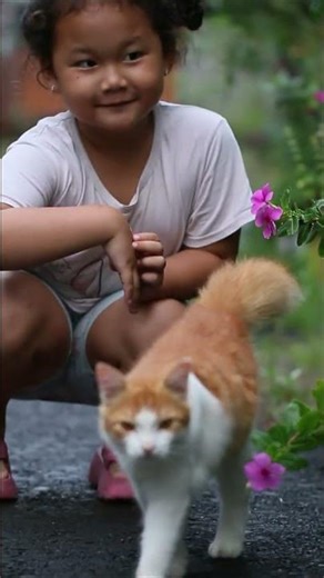 Lensa Canon EF 100mm F2,8 L Series