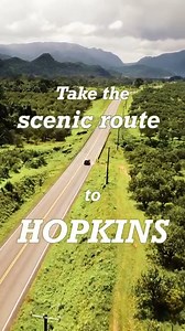 Feeling adventurous? Why not take the scenic route and discover the beauty of Hopkins Village! 🇧🇿 #Belize #TravelBelize #Hopkins | Travel Belize