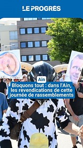 🔴 Bloquons tout : dans l'Ain, les revendications de cette journée de rassemblements En direct ➡️ https://l.leprogres.fr/UM7 | Le Progrès de l'Ain
