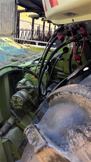 Forager Cleaning and Maintenance Tips for Silage