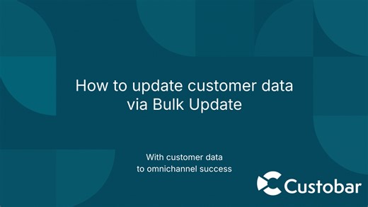 How to update customer data via Bulk update
