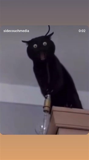 hacker meet developer #