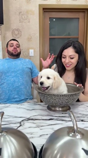 OMG Funny moment!😂 #shorts Best video by MoniLina