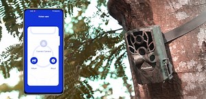 Watch How to use TC80 WiFi trail camera? on Amazon Live